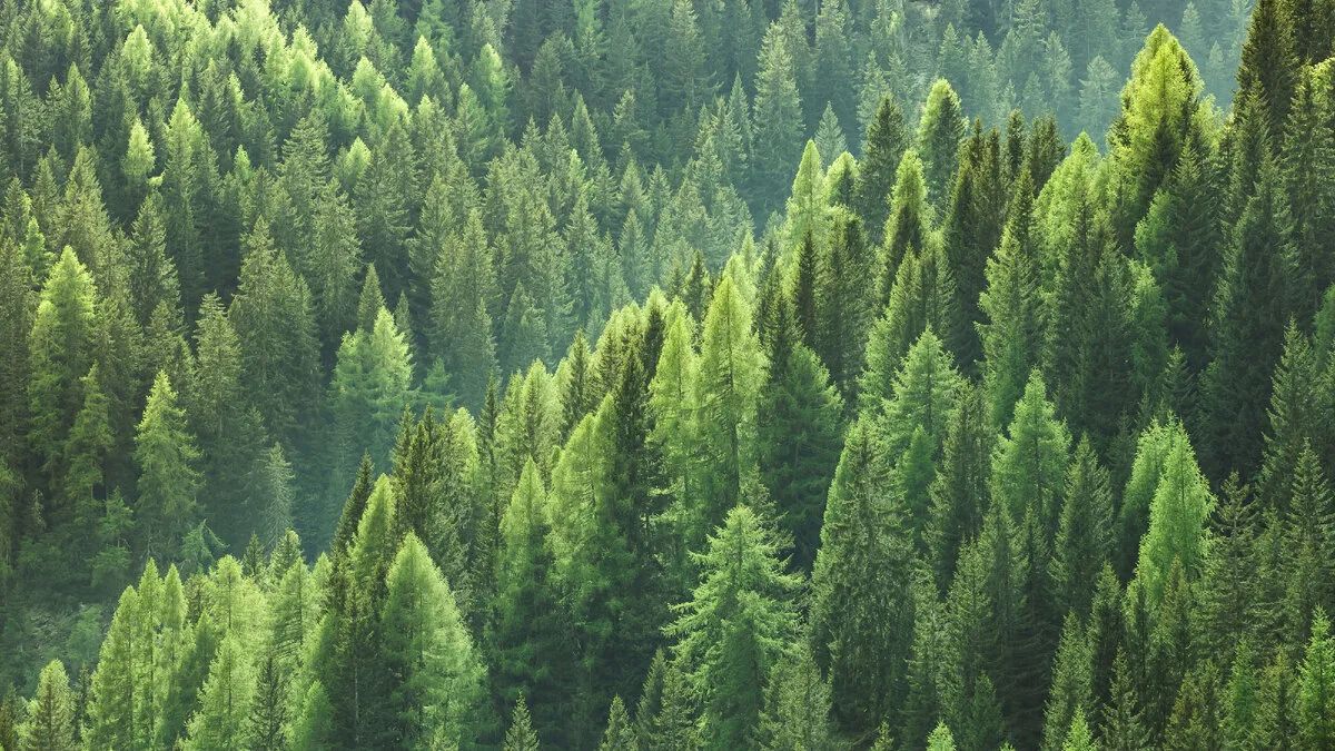 Уважаемые коллеги!