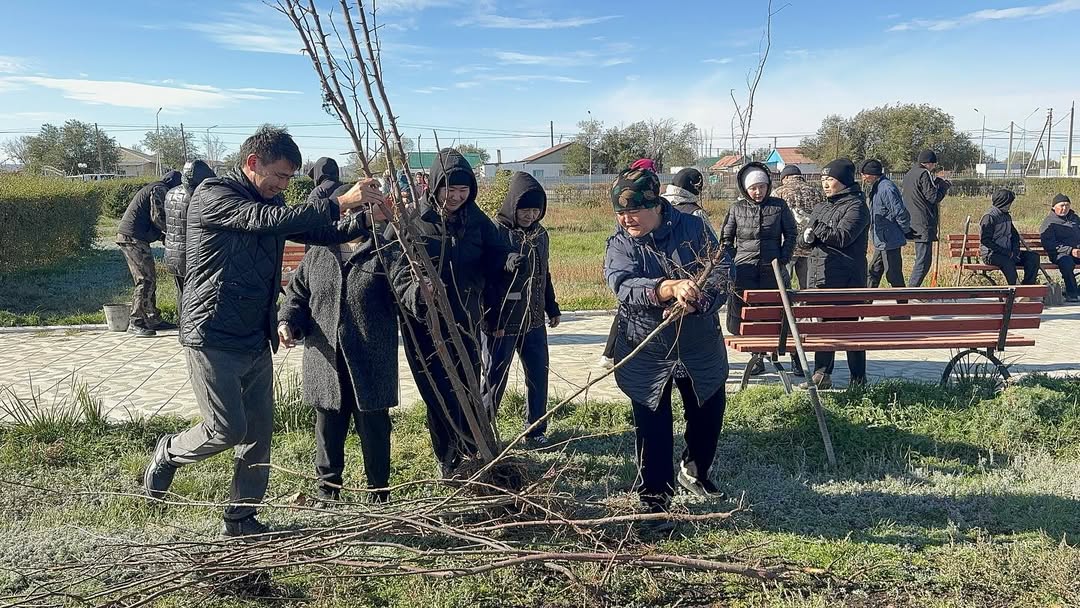В рамках эко-акции «Таза Казахстан» во всех сельских округах Абайского района были организованы осенние работы по посадке деревьев.