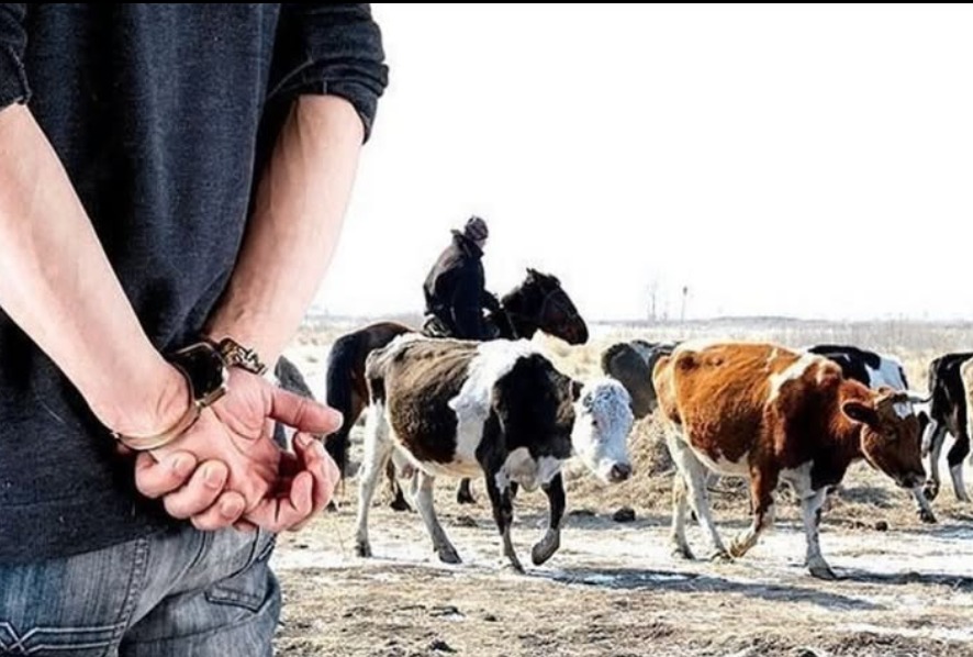 На территории Каратальского района проводится оперативно-профилактическое мероприятие “Скотокрад”.