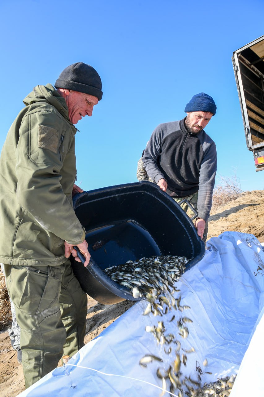 В дельте реки Или проведено зарыбление Шагырайской озёрной системы