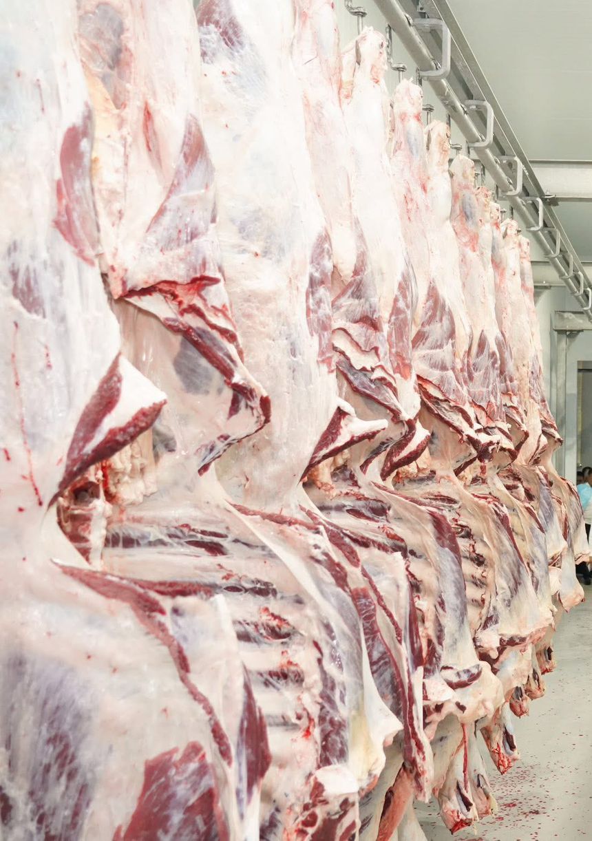 Касательно цен на говядину на внутреннем рынке