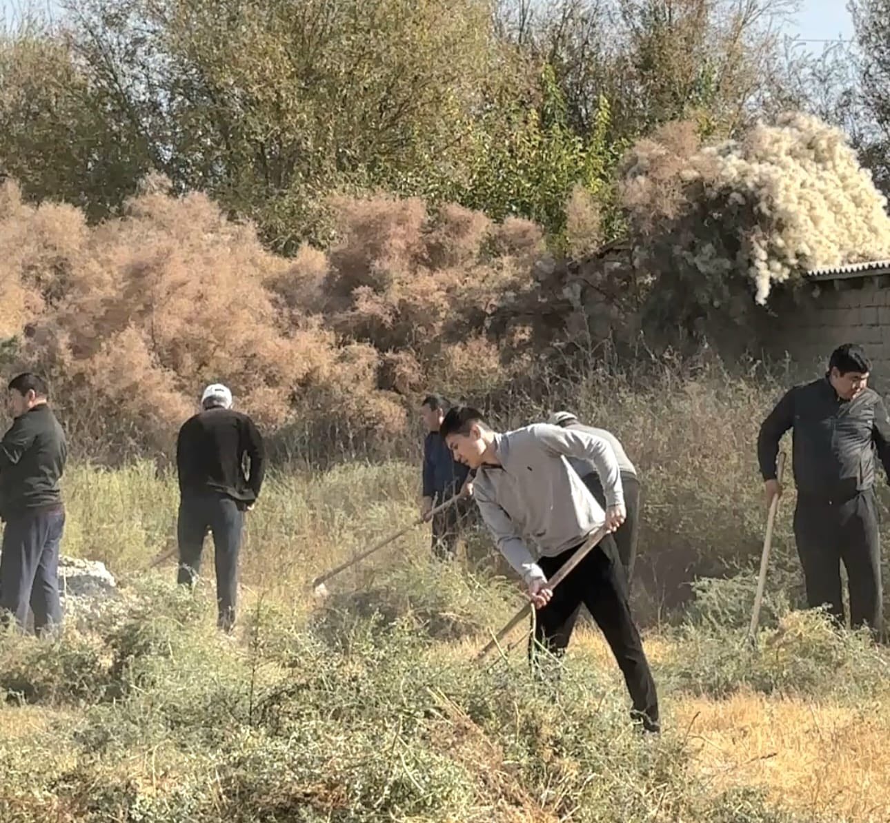 ТУРКЕСТАН: В ЖЕТЫСАЙСКОМ РАЙОНЕ ПРОВЕДЕНЫ УБОРOЧНЫЕ РАБОТЫ В РАМКАХ ПРОГРАММЫ «ТАЗА ҚАЗАҚСТАН»