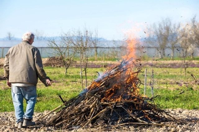 Сжигание мусора запрещено!