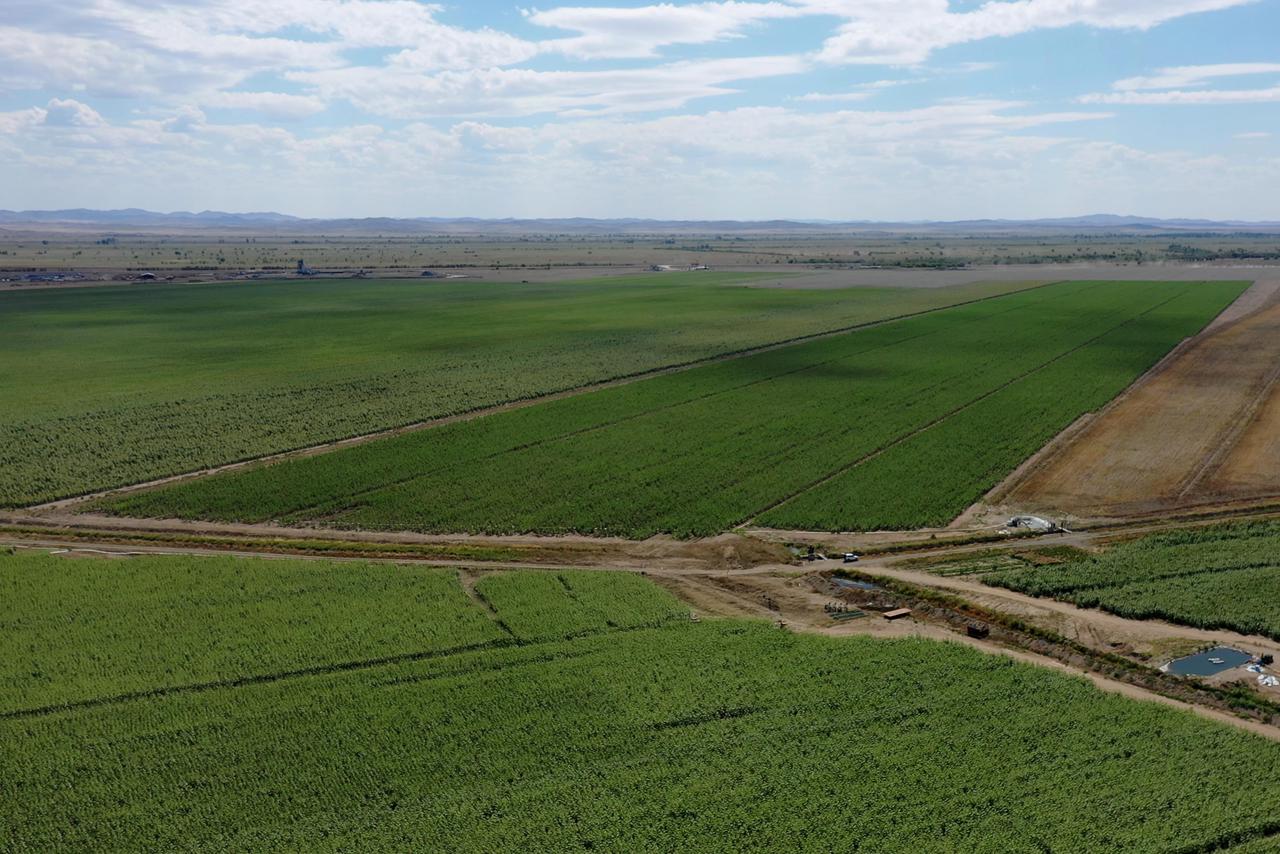 В области Абай государству возвращено более 150 тысяч га сельскохозяйственных земель