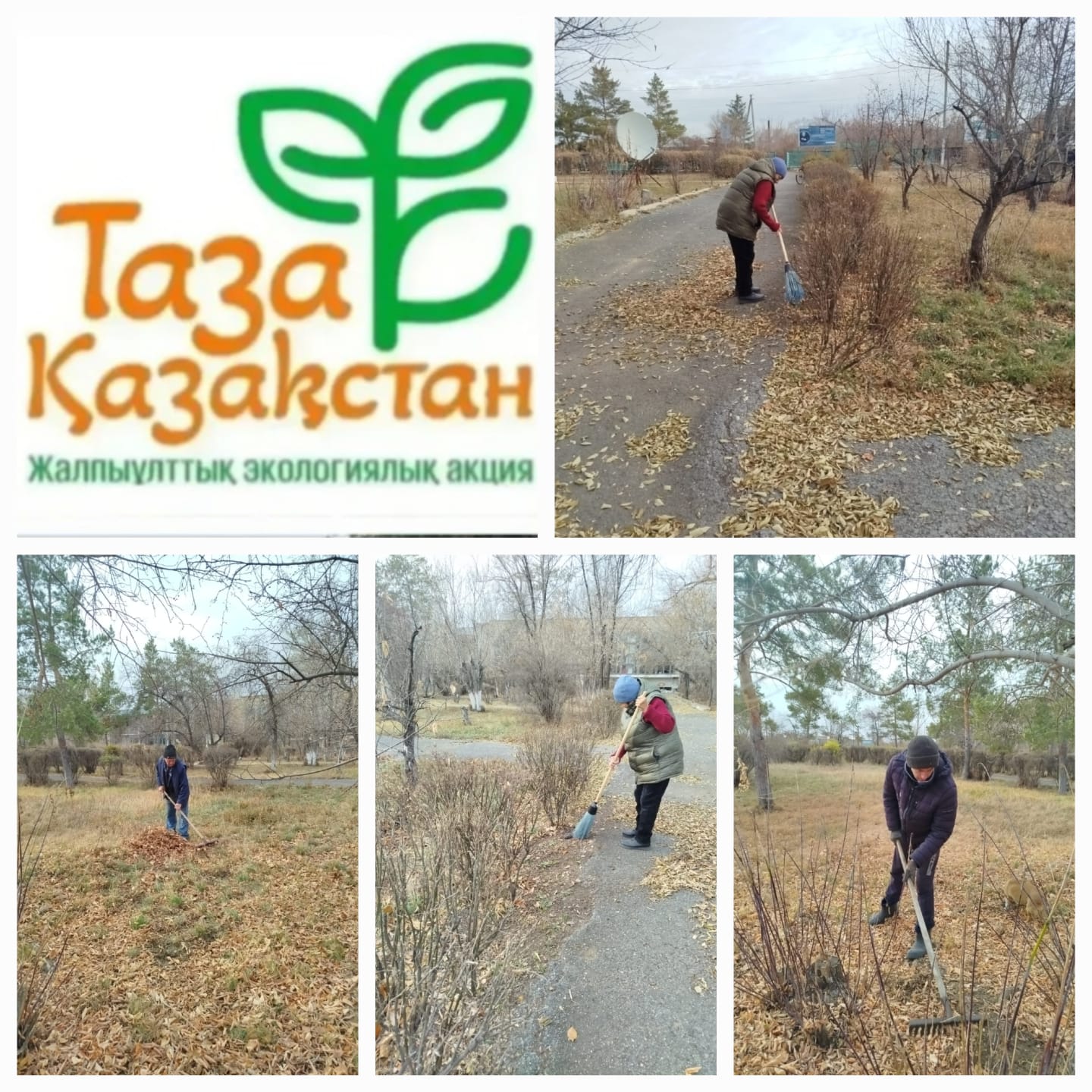 В Покровском сельском округе продолжается реализация экологической программы «Таза Қазақстан».