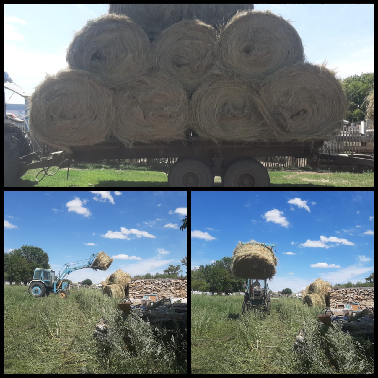 Блоготворительные мероприятия