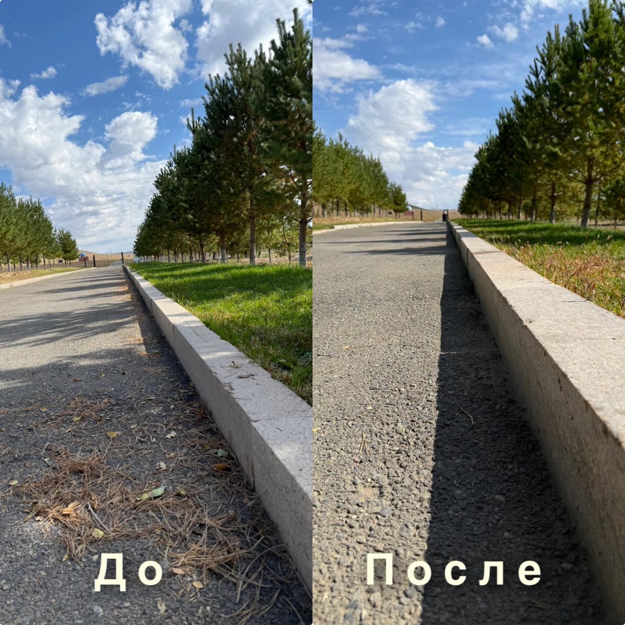 ☘️☘️☘️ В рамках республиканской экологической акции «Таза Қазақстан» 20 сентября 2025 года в Ескельдинском сельском округе был проведён субботник