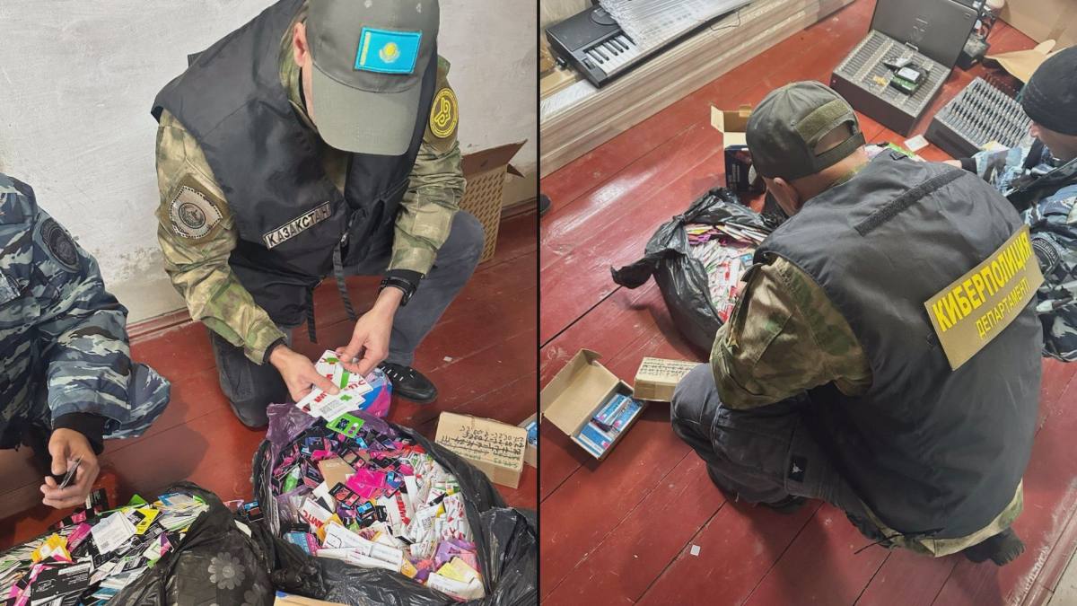 МВД ликвидировало транснациональную сеть интернет-мошенников в России