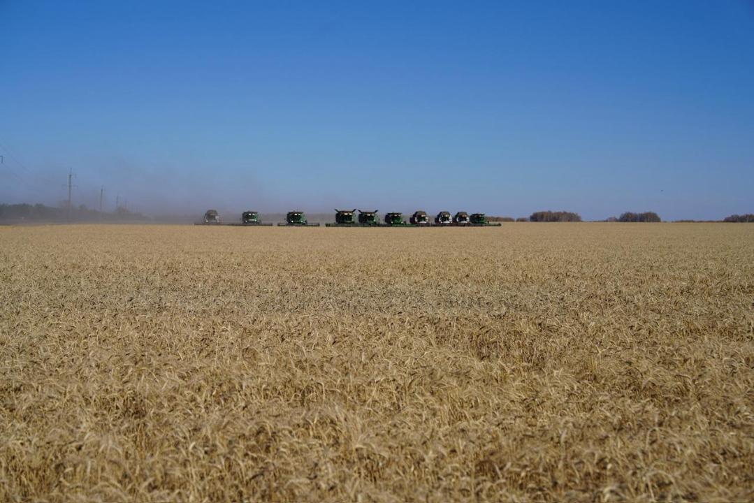 В Северо-Казахстанской области завершается уборочная кампания