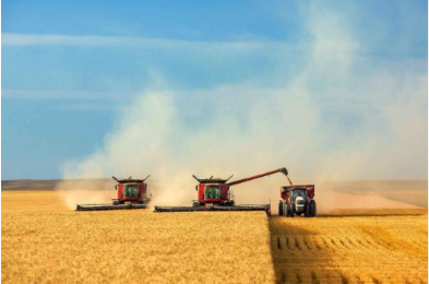 Программа «Кең дала 2» стартует уже с 1 октября