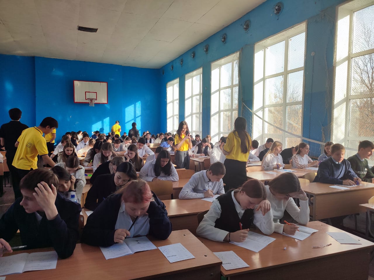 Олимпиада IQanat: первый тур позади!