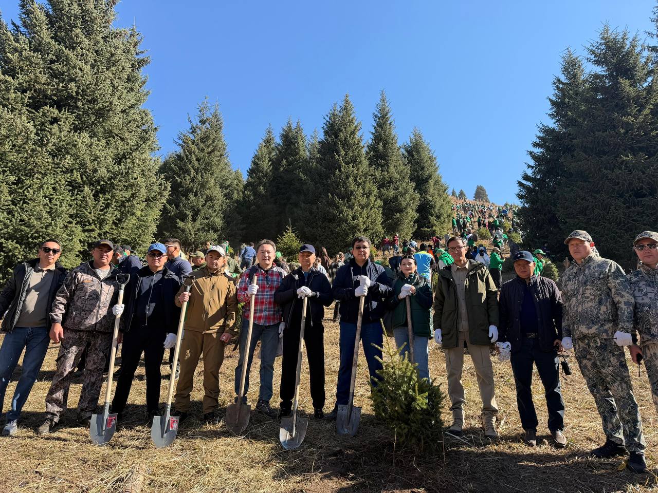 В преддверии Дня Республики в сфере лесного хозяйства был проведён пресс-тур