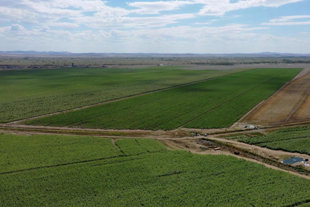 В области Абай государству возвращено более 150 тысяч га сельскохозяйственных земель