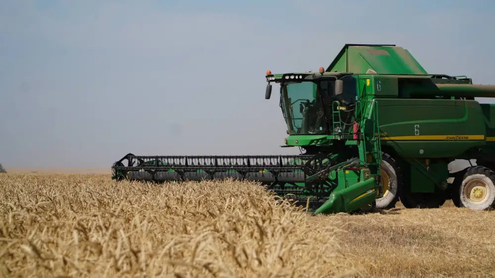 Текущий год выдался урожайным, можно даже сказать историческим для аграриев нашей области.