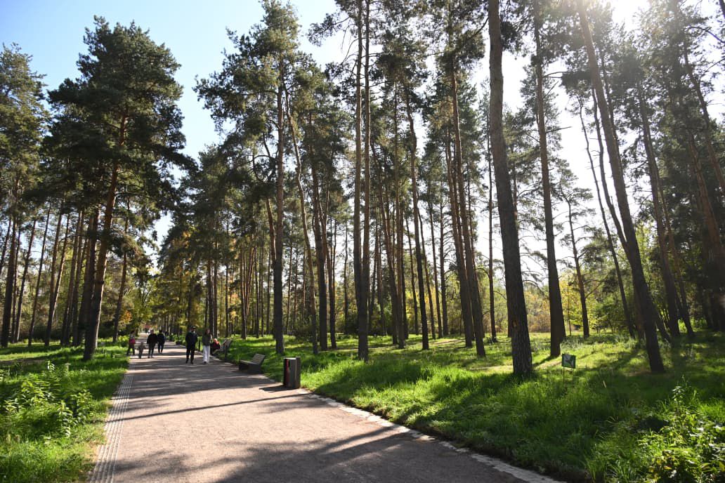 Свежий воздух для Алматы: новые меры по улучшению экологической ситуации