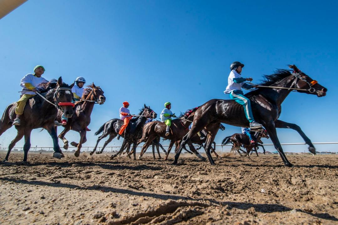 «Алтын күз – 2025»: В Кызылорде прошла республиканская байгa