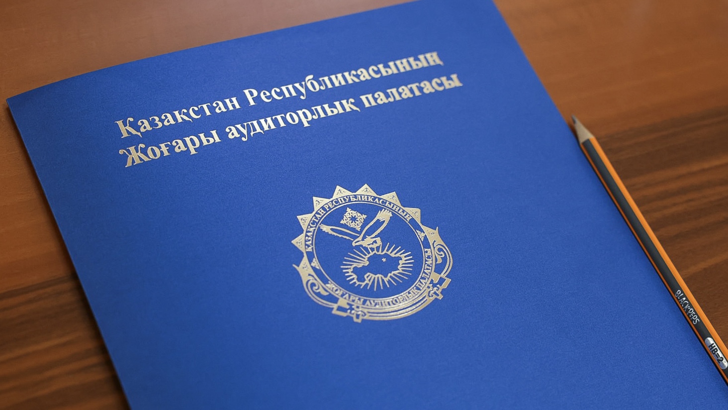 Новые цифровые решения для автоматизации налогового администрирования внедряются в Казахстане