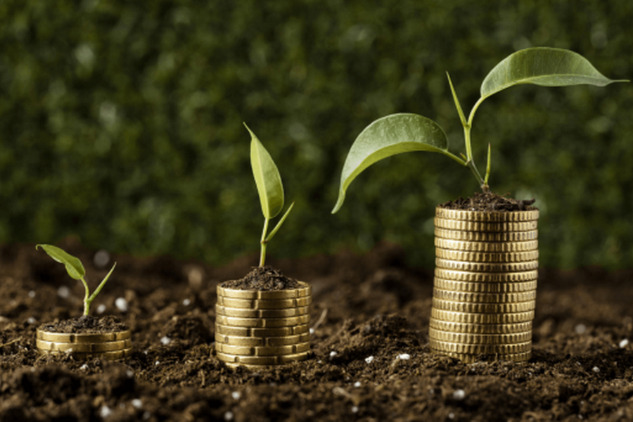 «Органическая продукция. Что такое «greenwashing».