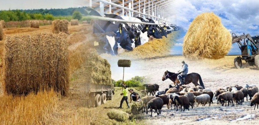 За последние 5 лет количество сельхозкооперативов увеличилось в 1,5 раза