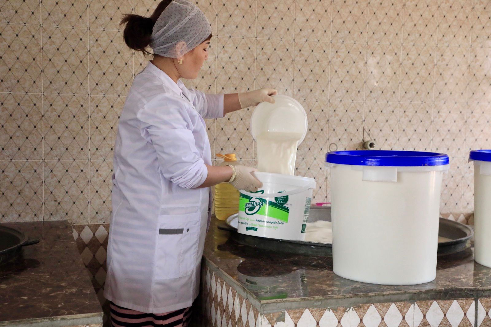 САРЫАГАШ: РОСТ КОЛИЧЕСТВА ПРОИЗВОДСТВЕННЫХ ПРЕДПРИЯТИЙ