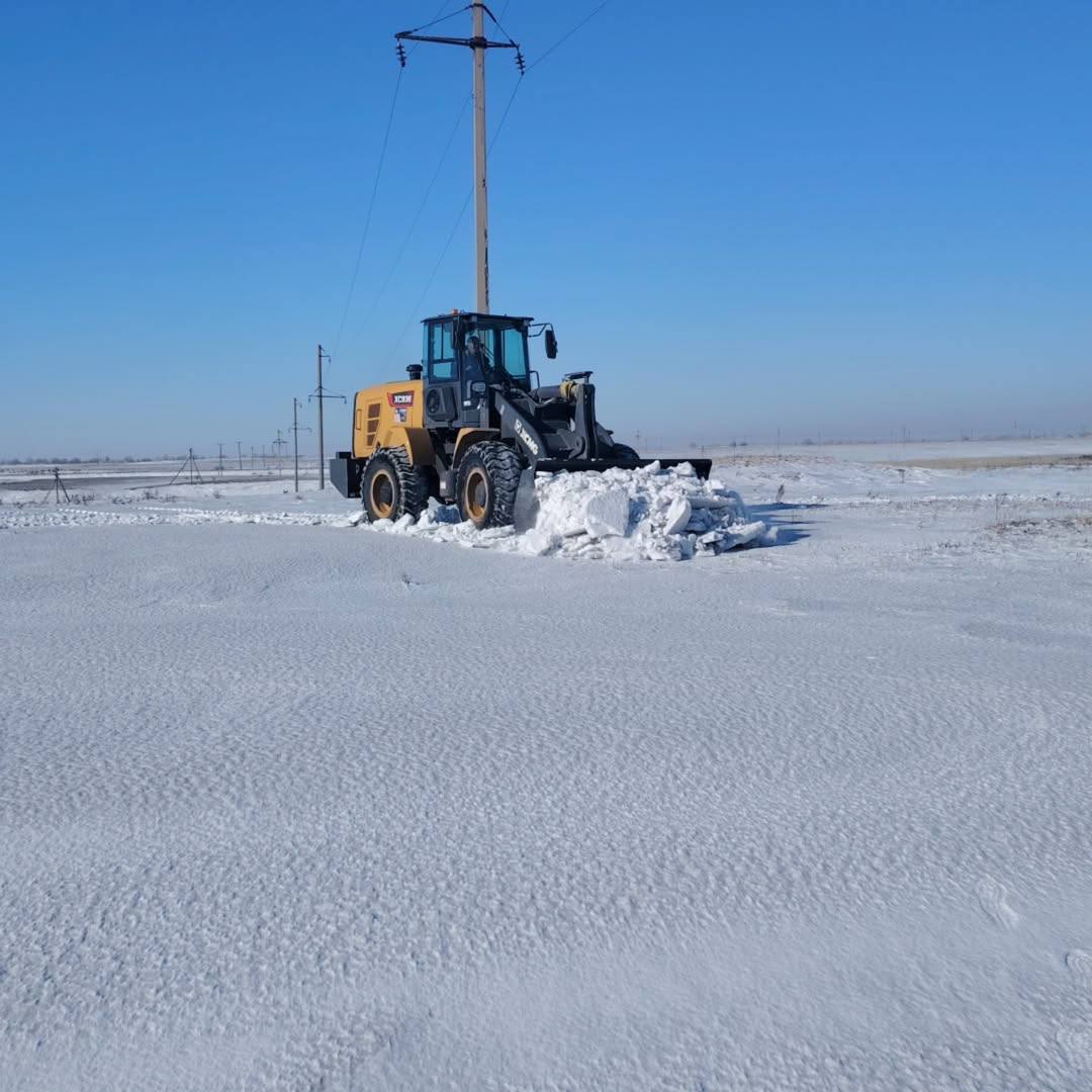 В сельских округах Иртыш, Жиенали, Акбулак и Айнабулак были проведены работы по очистке от снега территорий скотомогильников
