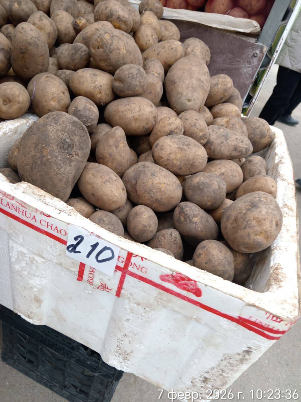 На ярмарке в Актау из стабилизационного фонда было реализовано 2 тонны картофеля