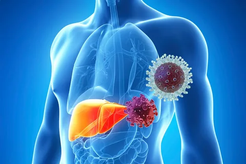 Эпидемиологическая ситуация по вирусным гепатитам и мерам профилактики