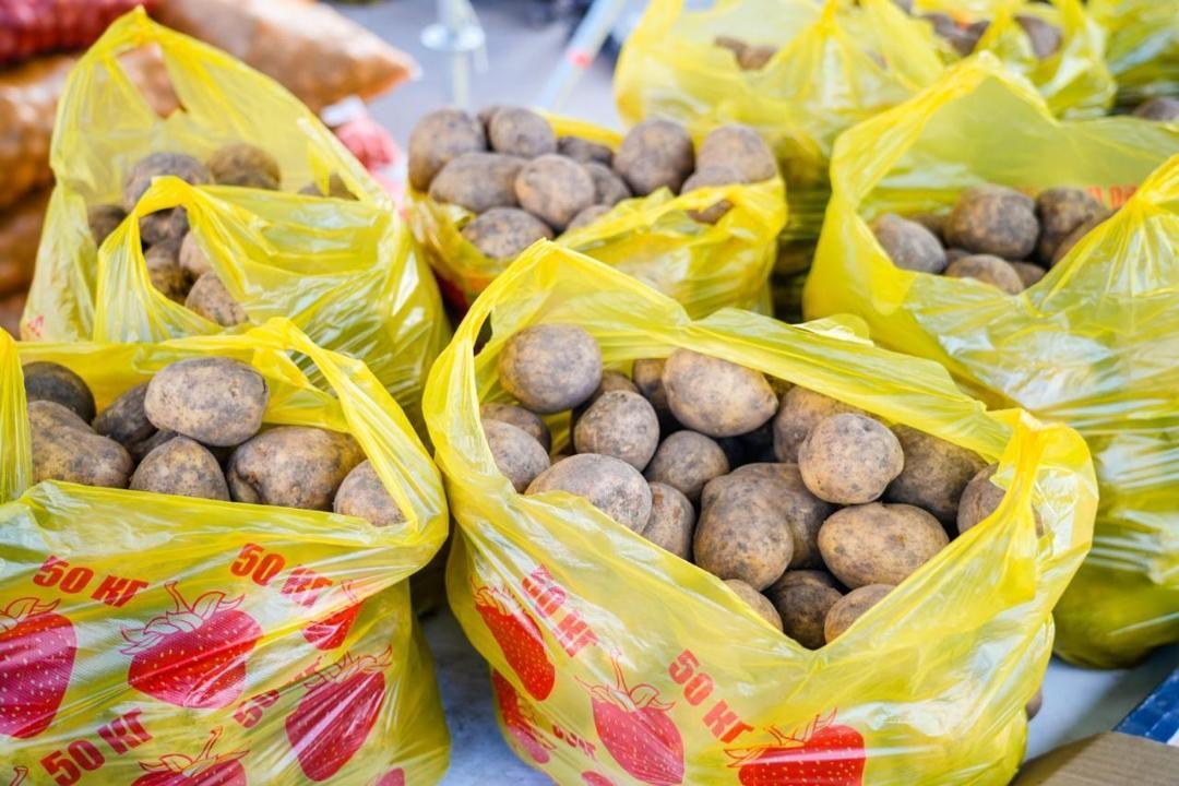 В столице проводится мониторинг цен на СЗПТ