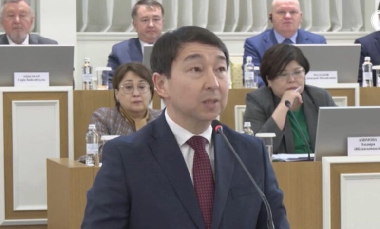 Граждане Казахстана не могут получить двойное или большее гражданство: в проект новой Конституции внесено уточнение