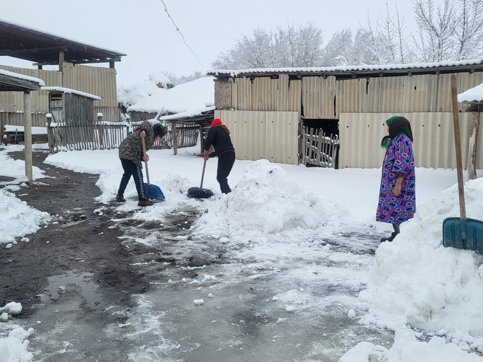 Организованы работы по оказанию помощи пожилым людям и людям с ограниченными возможностями