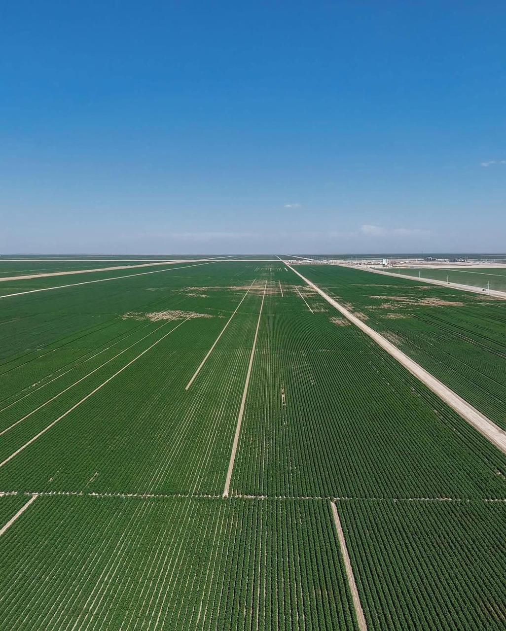 «АУЫЛ АМАНАТЫ» – АУЫЛДЫ ҚОЛДАУДЫҢ ЖОБАСЫ