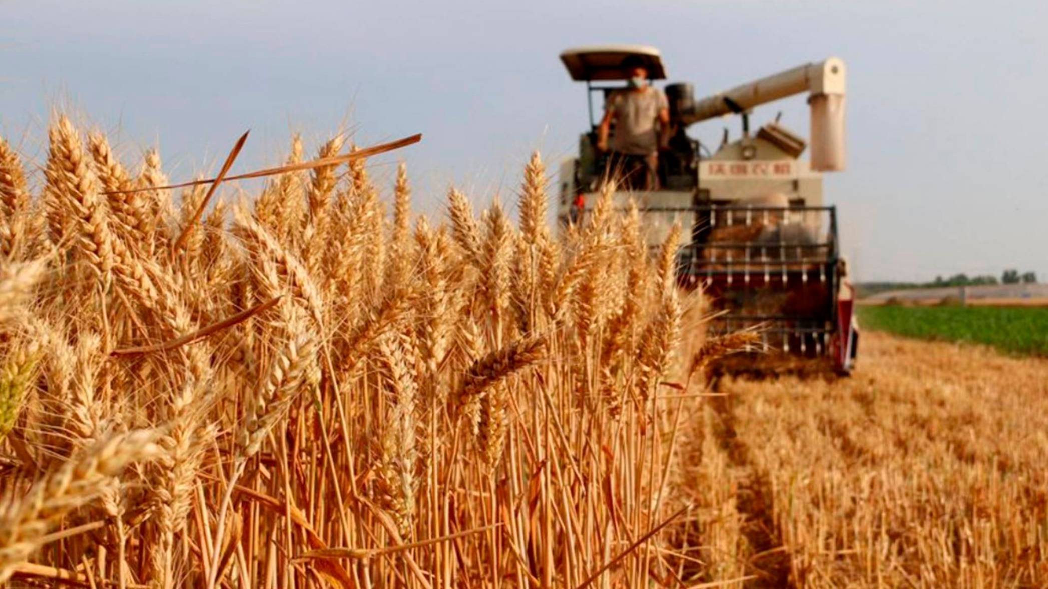 Достоверный прогноз залог больших урожаев