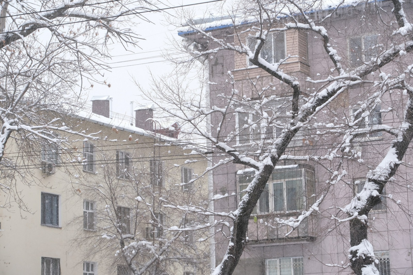 В Алматы напомнили об ответственности за уборку наледи и снега