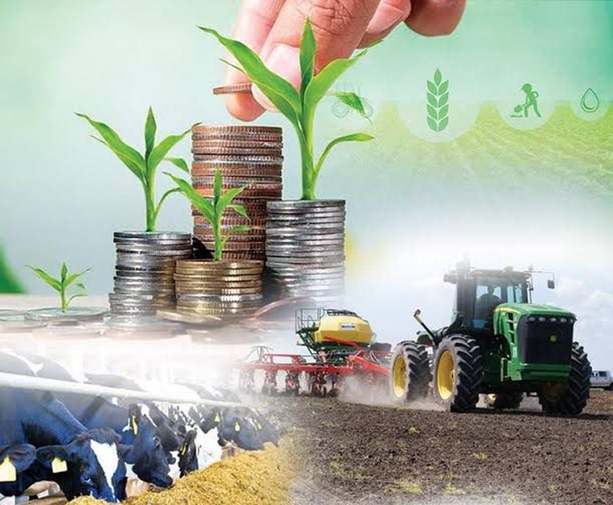 В области Жетысу снова открыт приём заявок на микрокредиты