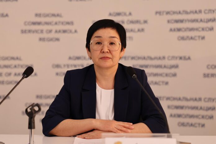 Новые налоговые режимы разъяснили в Акмолинской области