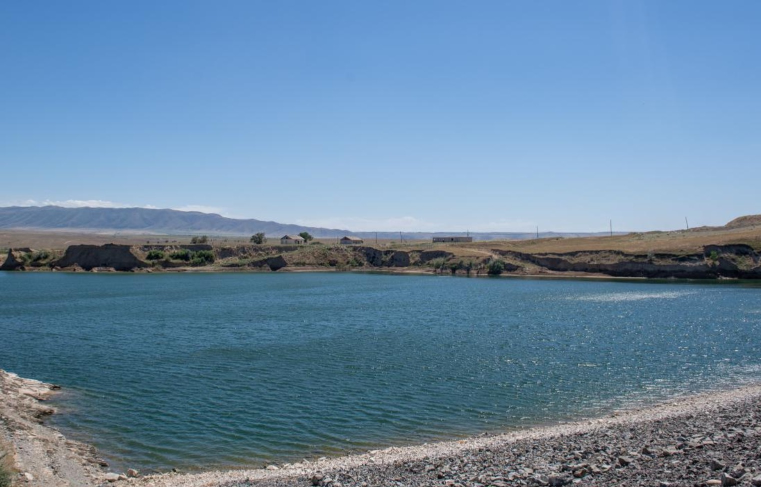 В области Жетісу в этом году посевные площади составят порядка 512 тыс. га