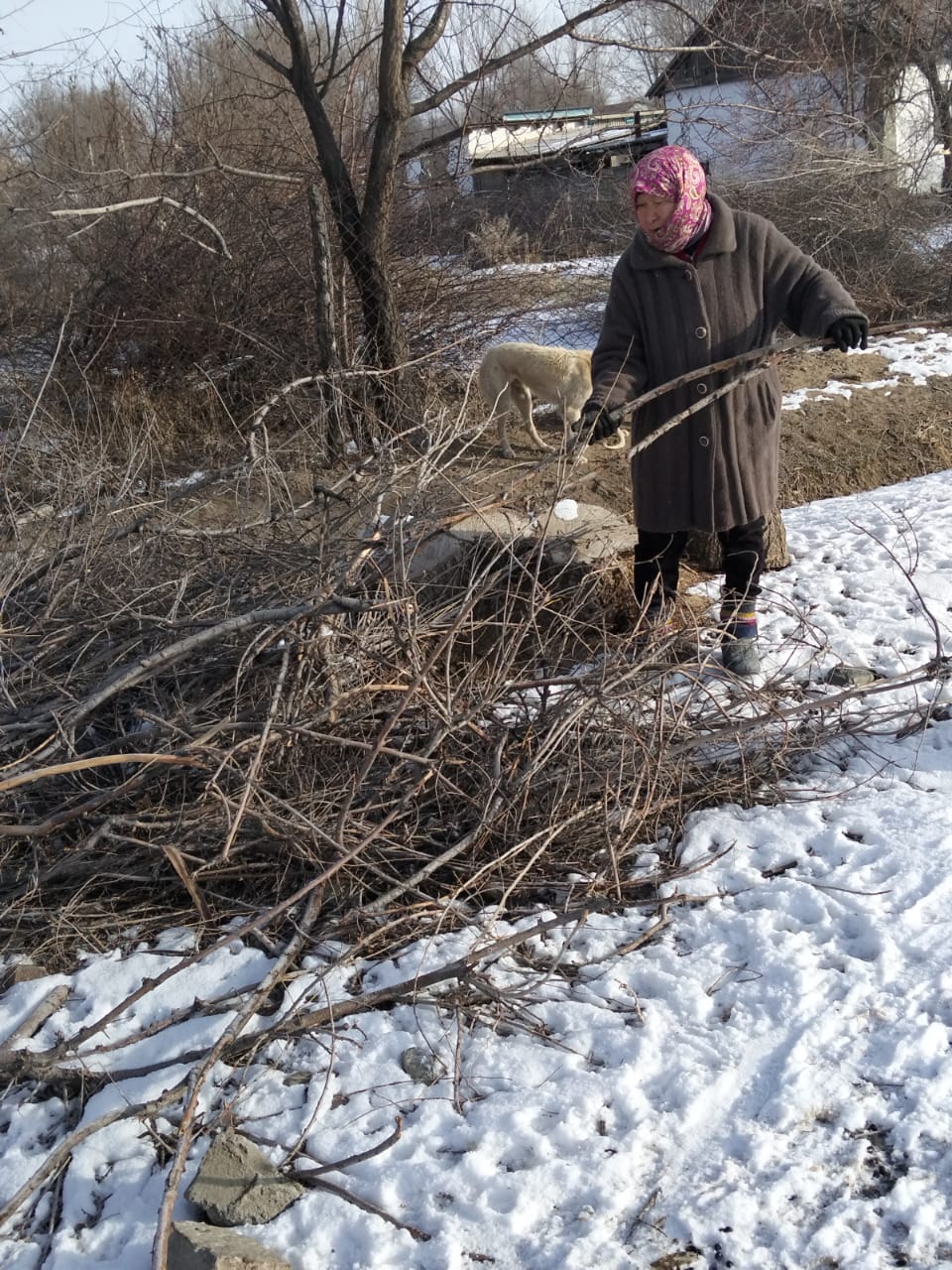 акции «Таза Қазақстан»