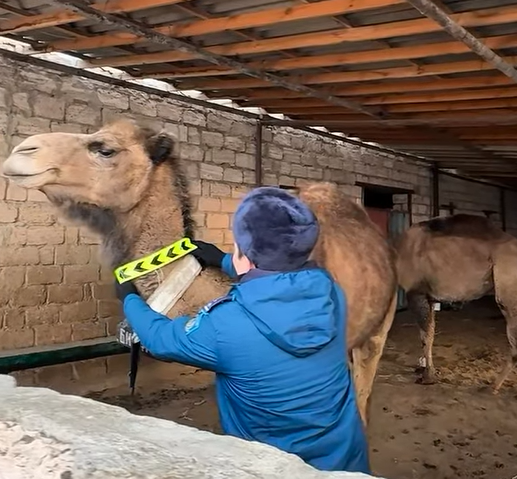 Проведено оперативно-профилактическое мероприятие «Правопорядок»