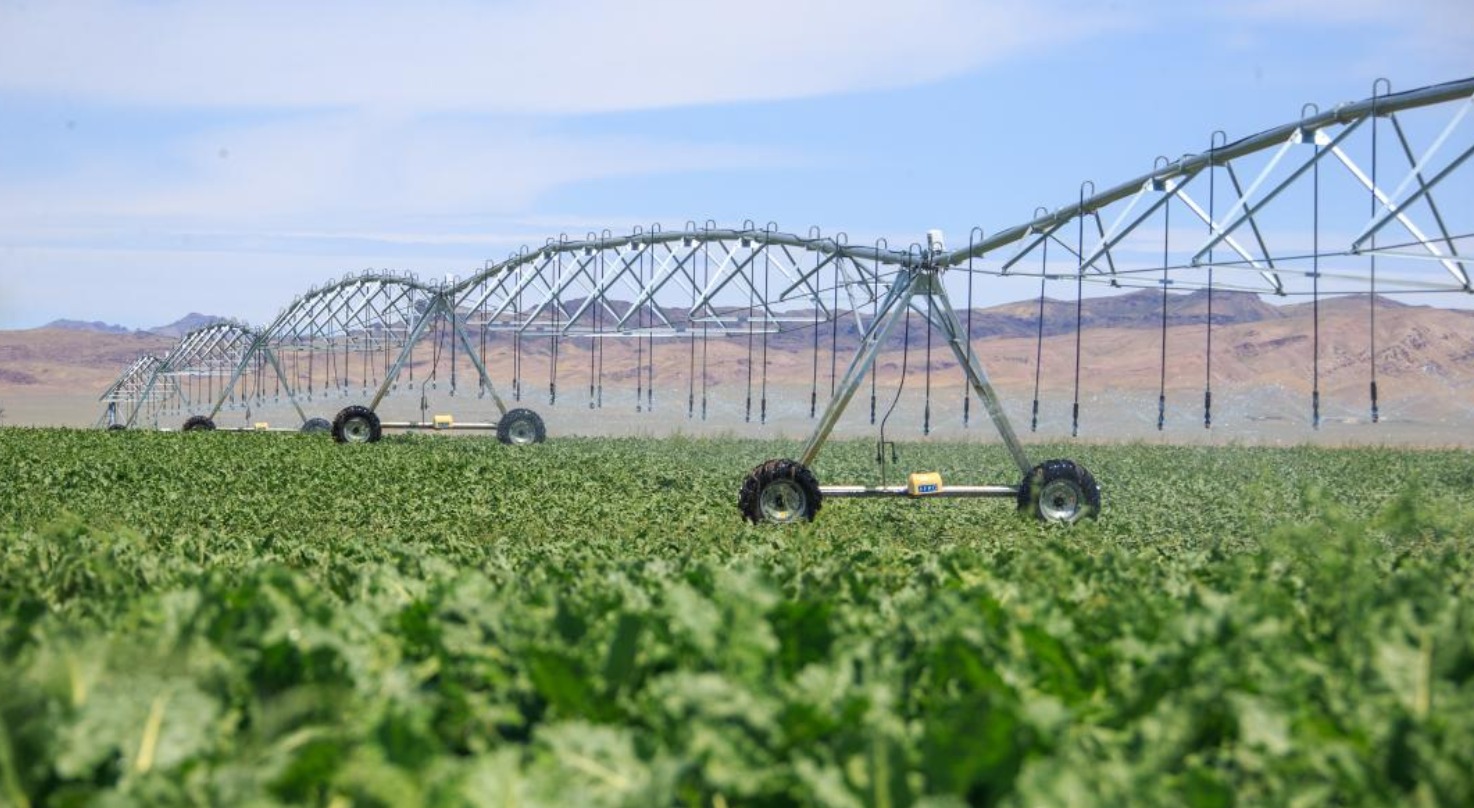 Водное хозяйство Жетісу: новые инфраструктурные проекты и современные технологии