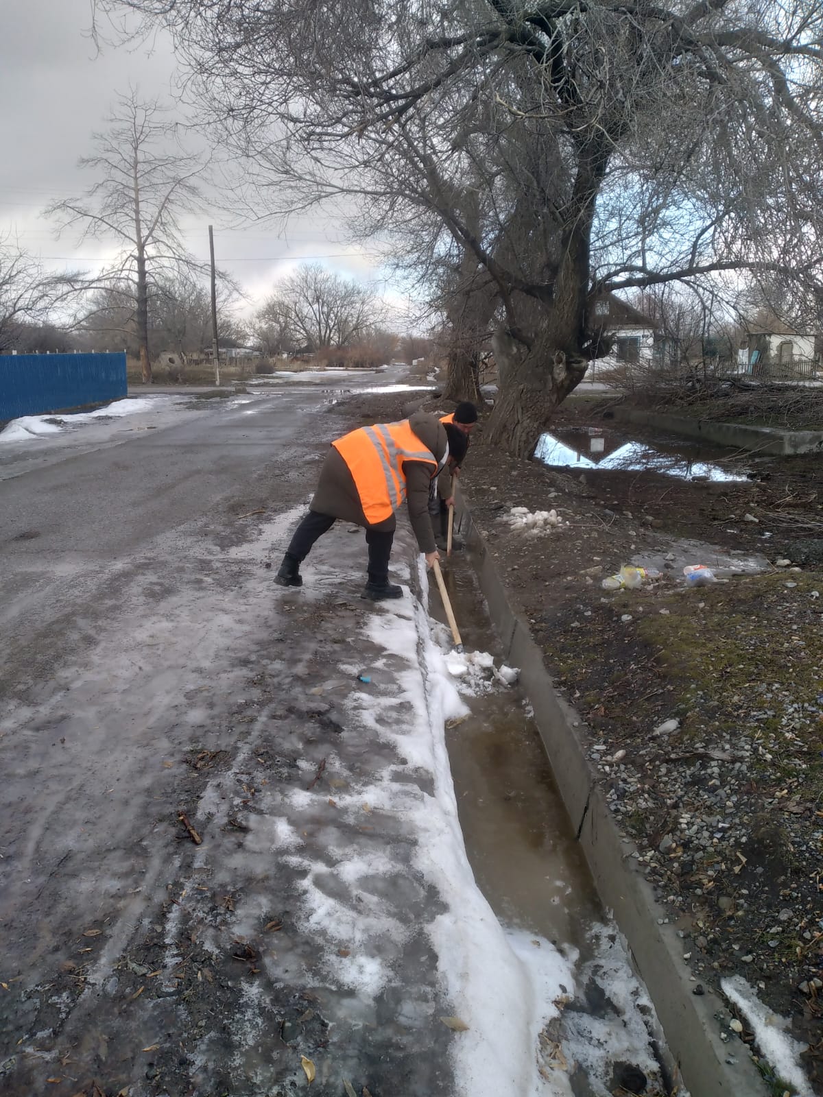 Подготовка к павоткам