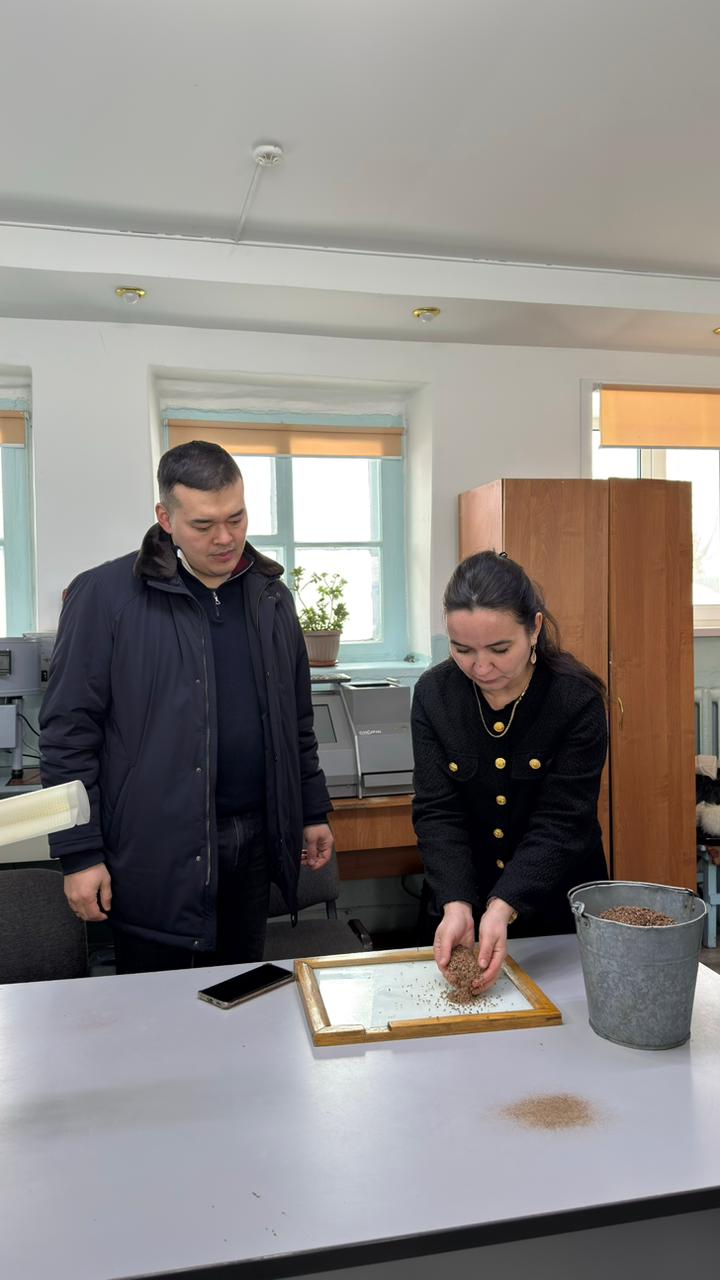 Проинспектированы темпы отгрузки зерновых и масличных на экспорт