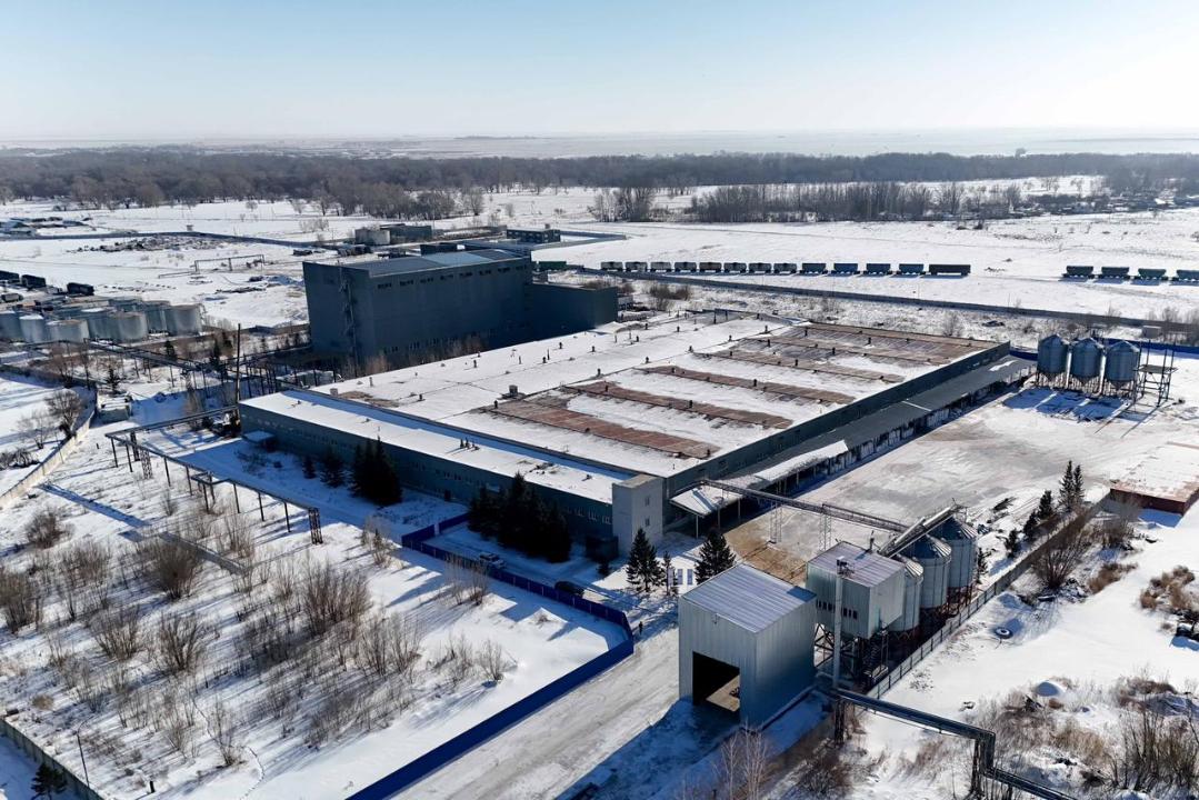 В области Абай открыт завод по переработке бобовых и масличных культур