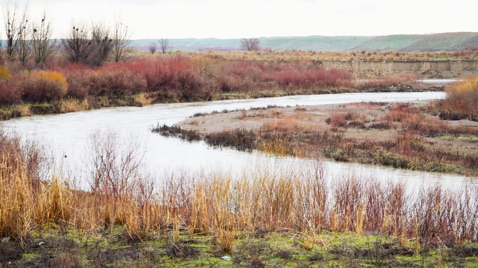КЕЛЕС: ИРРИГАЦИОННЫЕ СИСТЕМЫ И РУСЛА РЕК НАХОДЯТСЯ ПОД ПРИСТАЛЬНЫМ НАБЛЮДЕНИЕМ