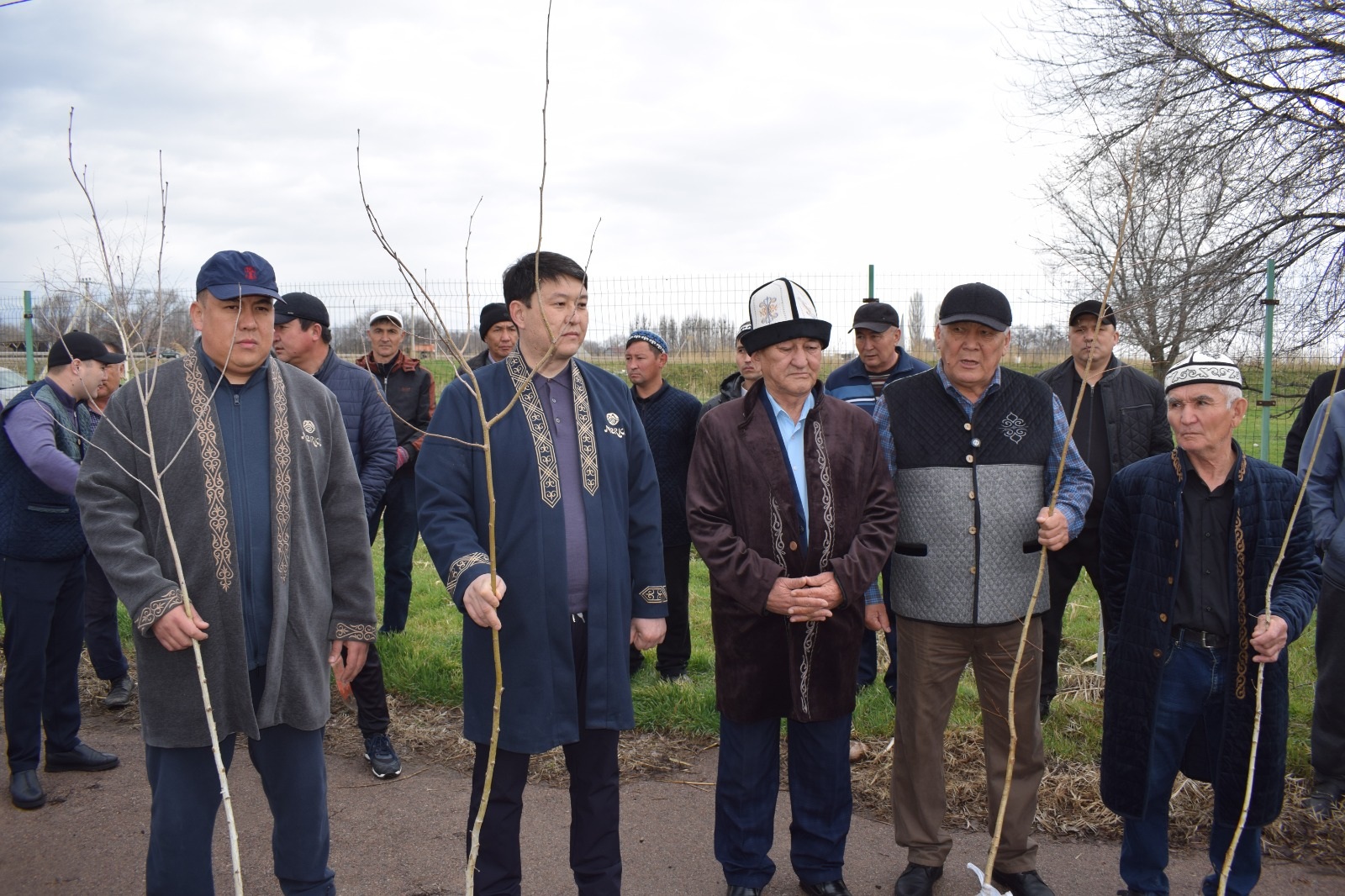 В МЕРКЕНСКОМ РАЙОНЕ ВЫСАЖЕНО БОЛЕЕ ТЫСЯЧИ ДЕРЕВЬЕВ