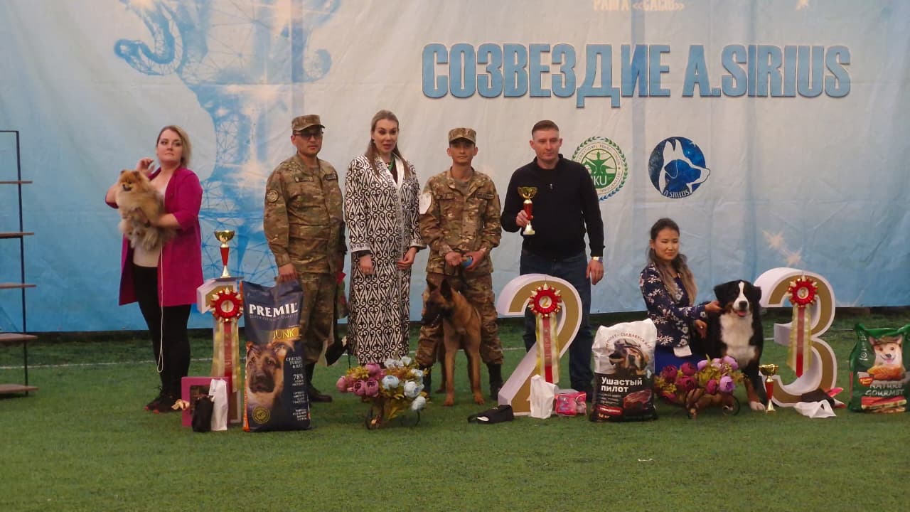 Служебные собаки Национальной гвардии подтвердили высокий уровень подготовки на выставке A.SIRIUS 2026