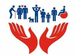 Информация о проведенных проверках