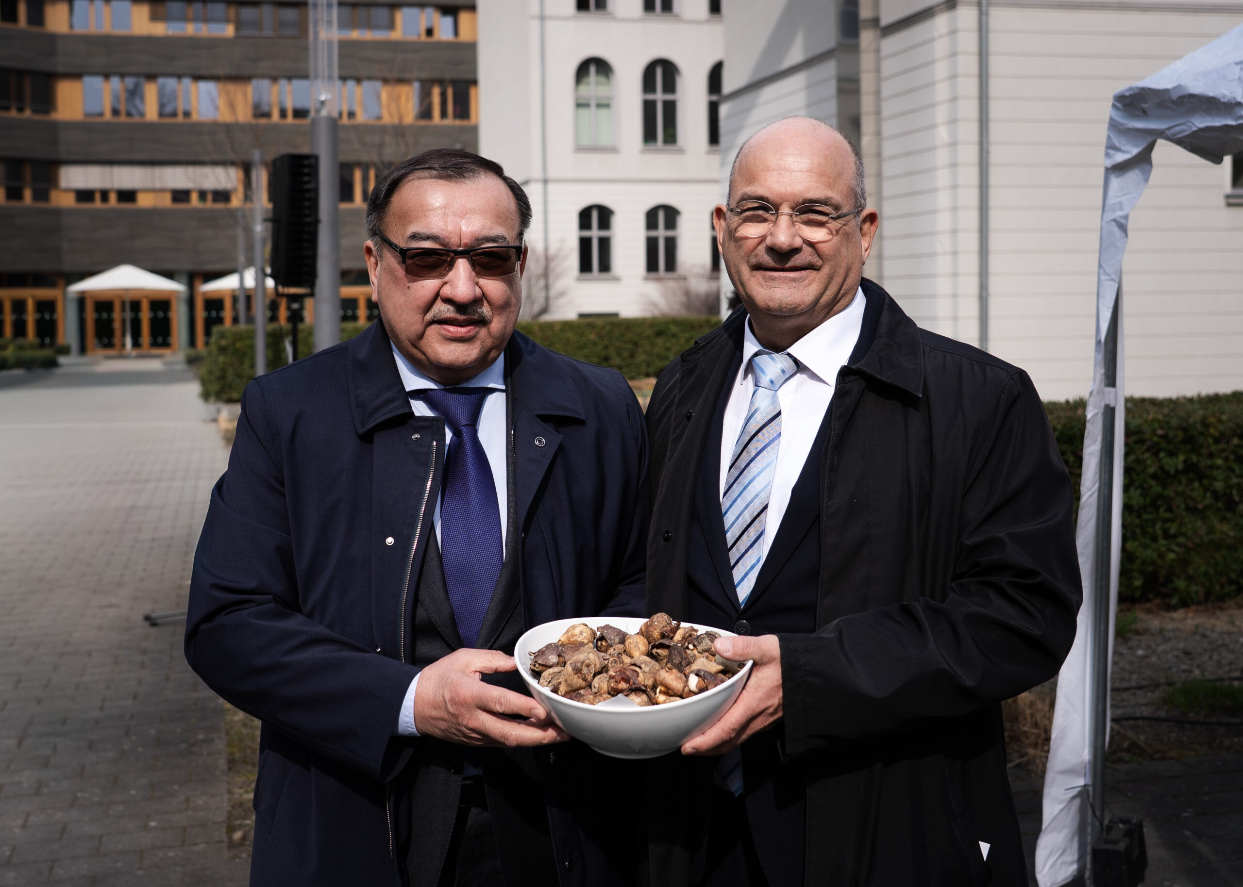 Тюльпаны из Казахстана – символ дружбы и весеннего обновления в Берлине