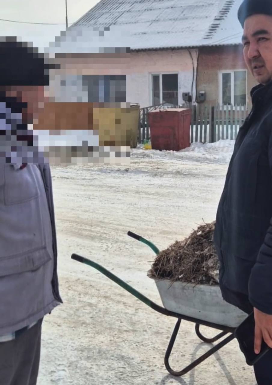 В области Абай за нарушения правил благоустройства привлечены около 2800 жителей