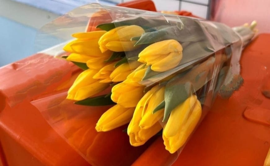 Дорогие и милые дамы!