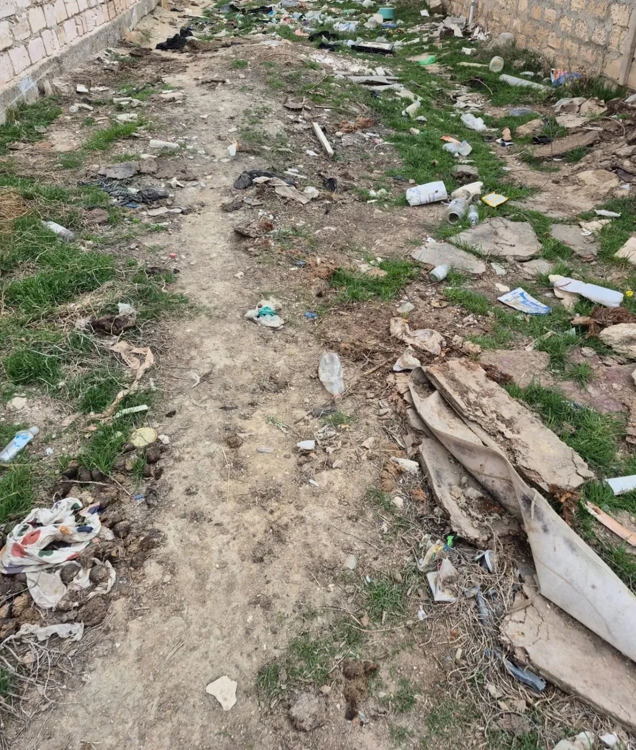 Экологическая акция ” Чистый Казахстан”